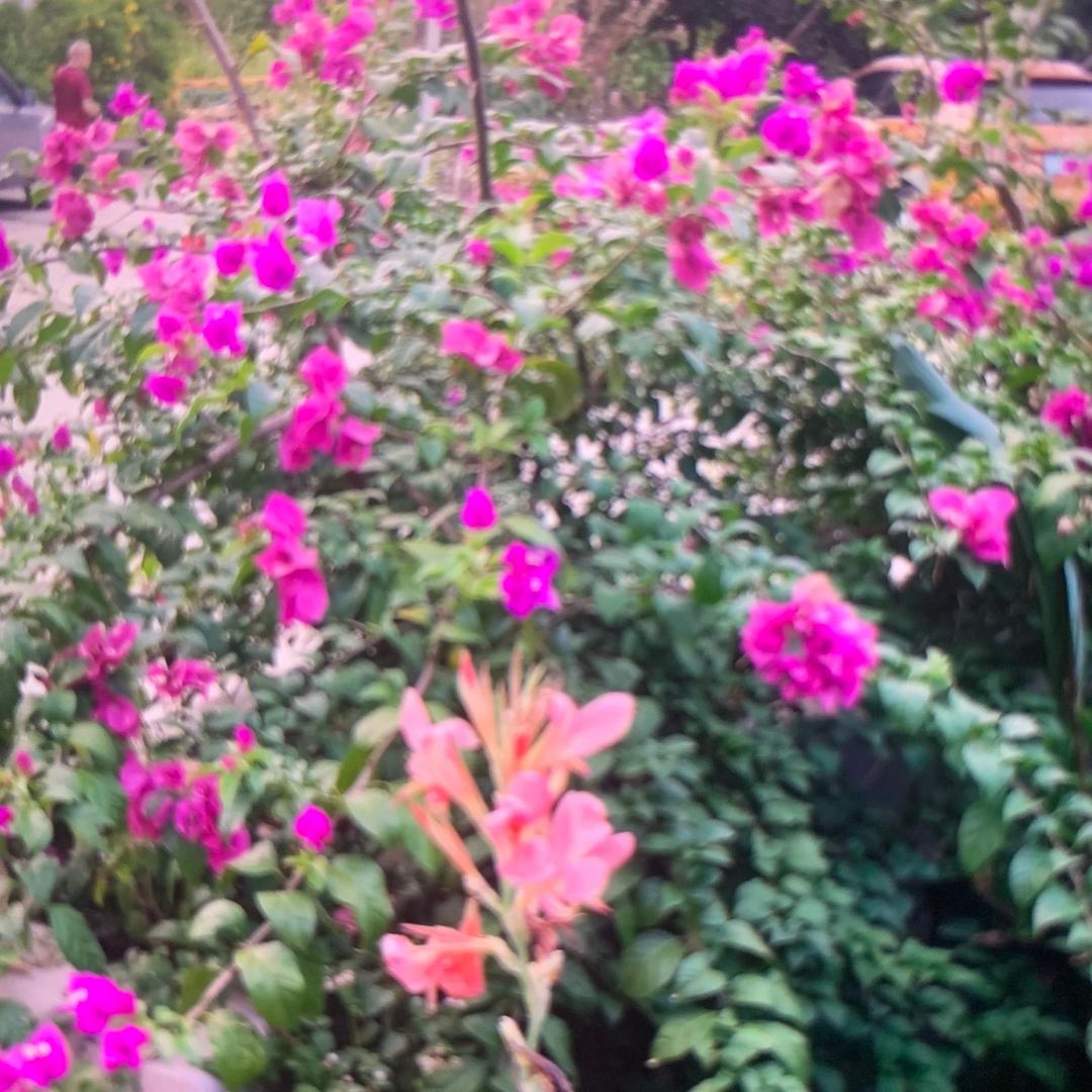 余意日用百货个体店