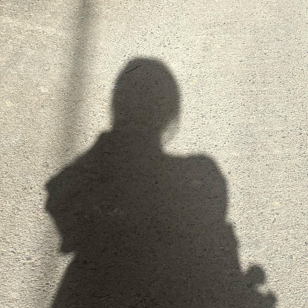 木伊