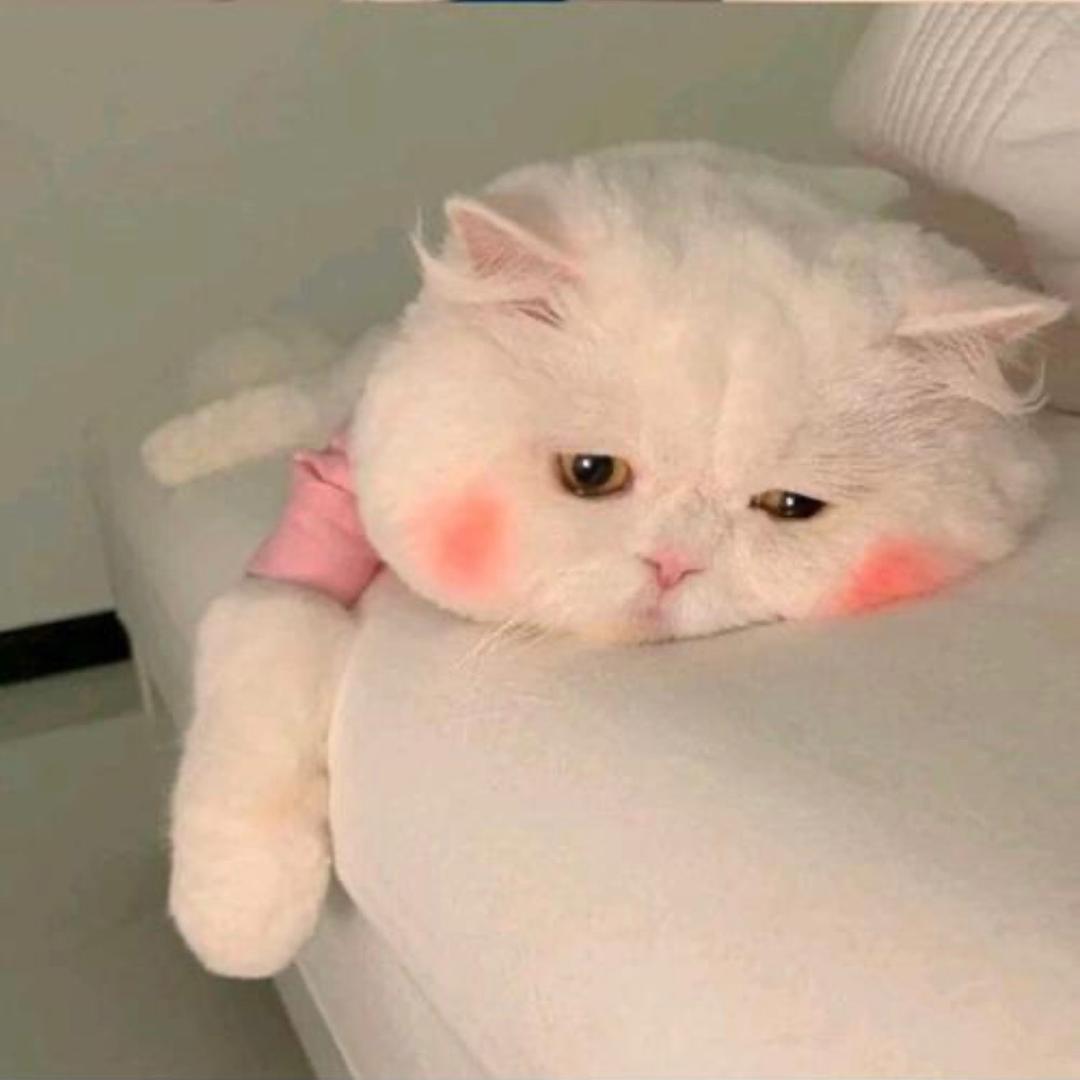 大邑周大生珠宝💎江