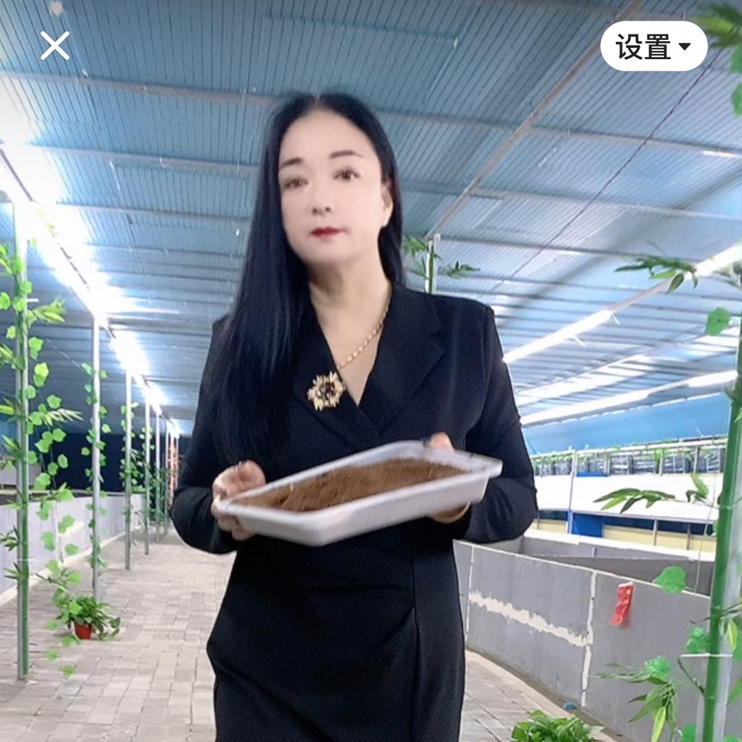 济南王玲玲基地