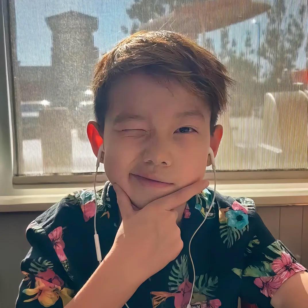 石头的理想不是石头