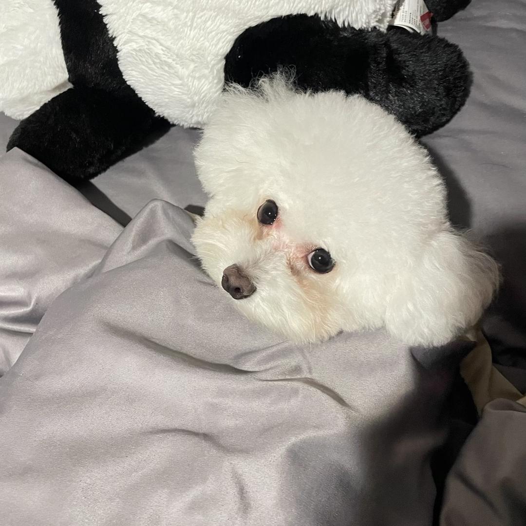 三生有幸