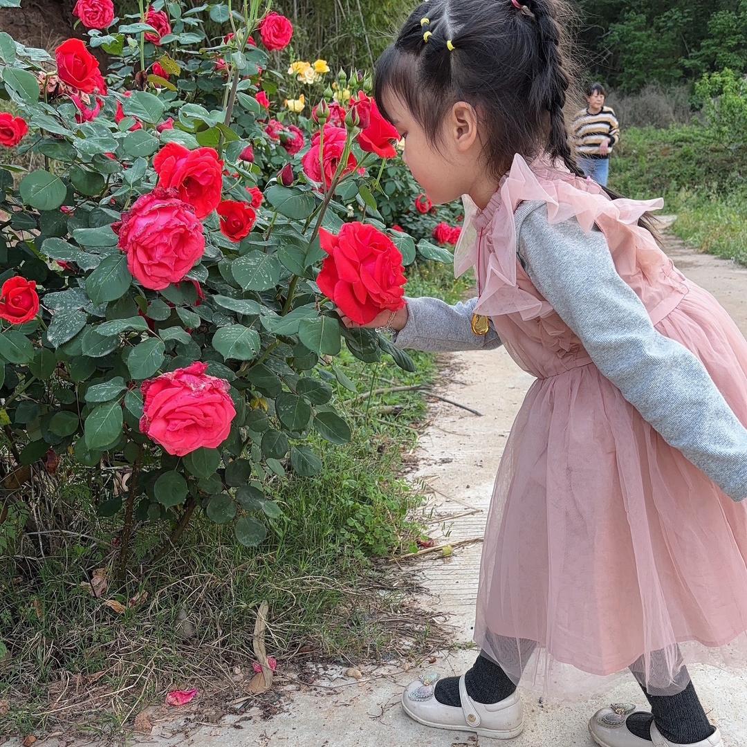 菲菲妈妈