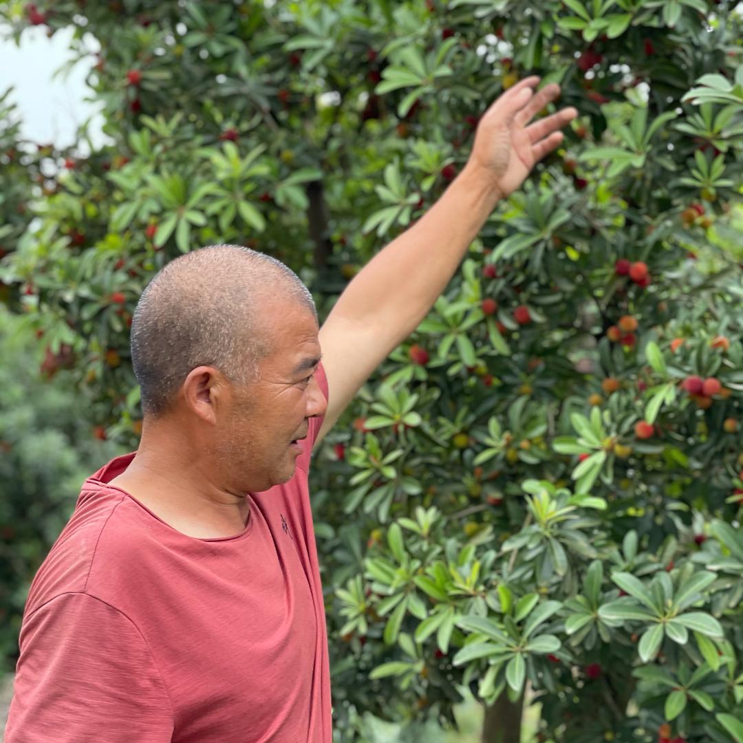 东坡区万忠明水果种植场