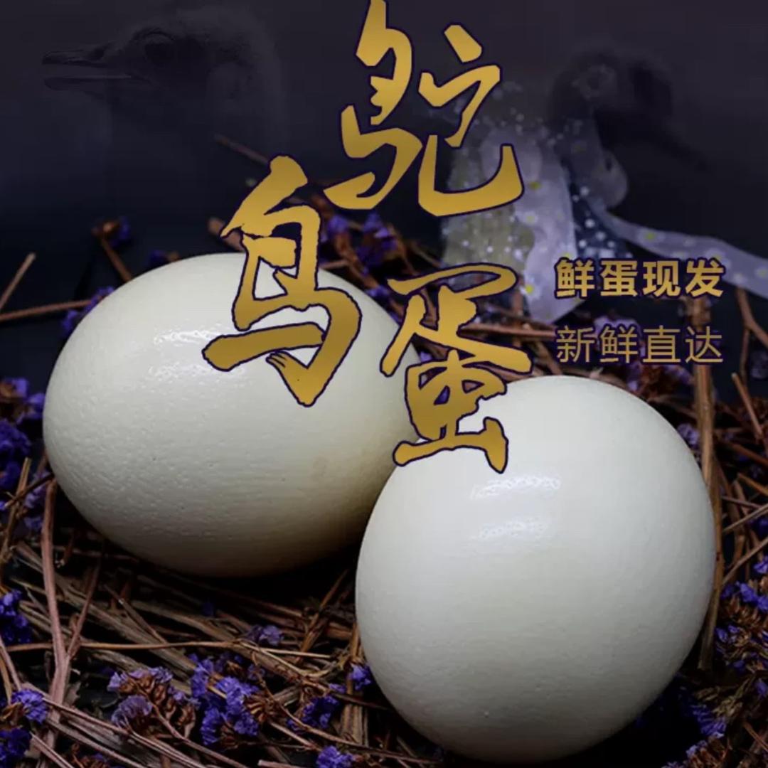 豫舆生鲜
