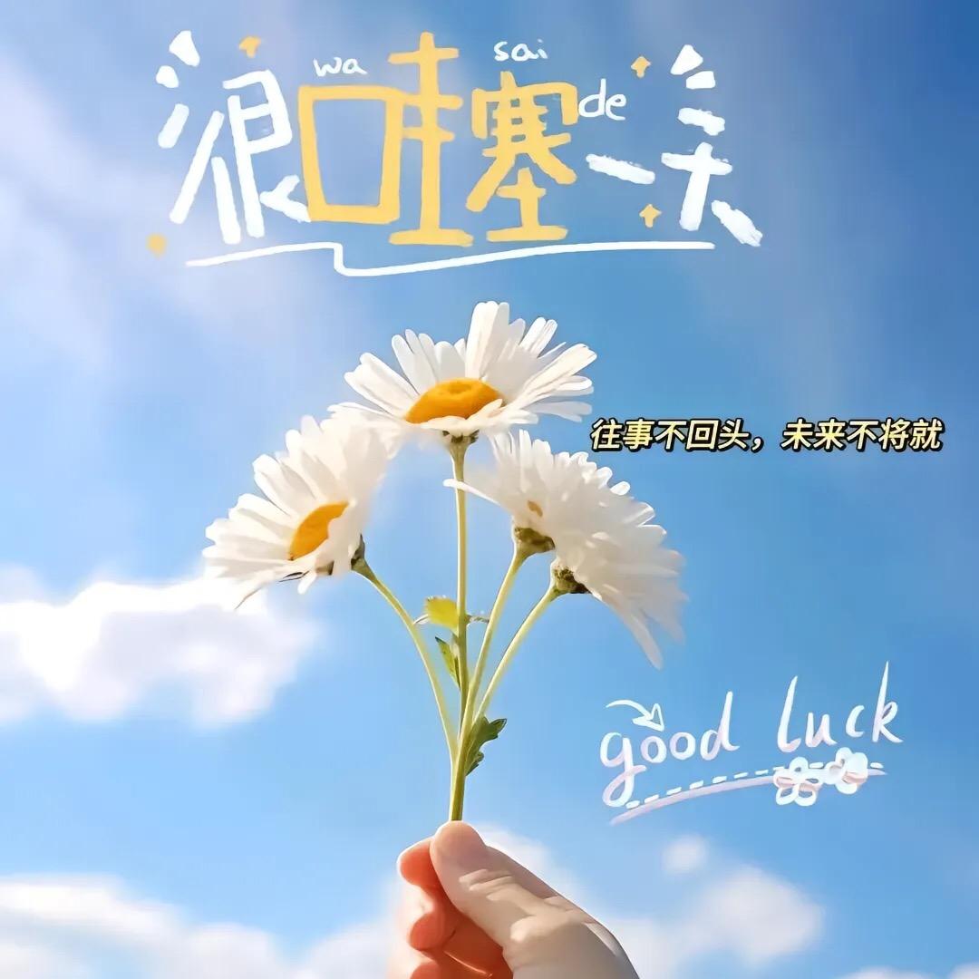 生日庆典回馈福利🎈