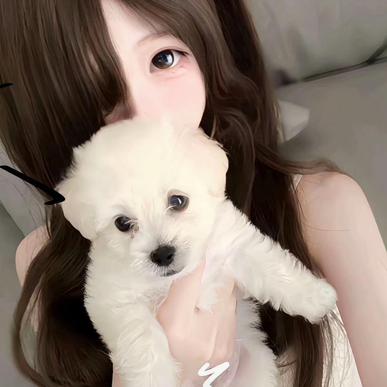 土豆