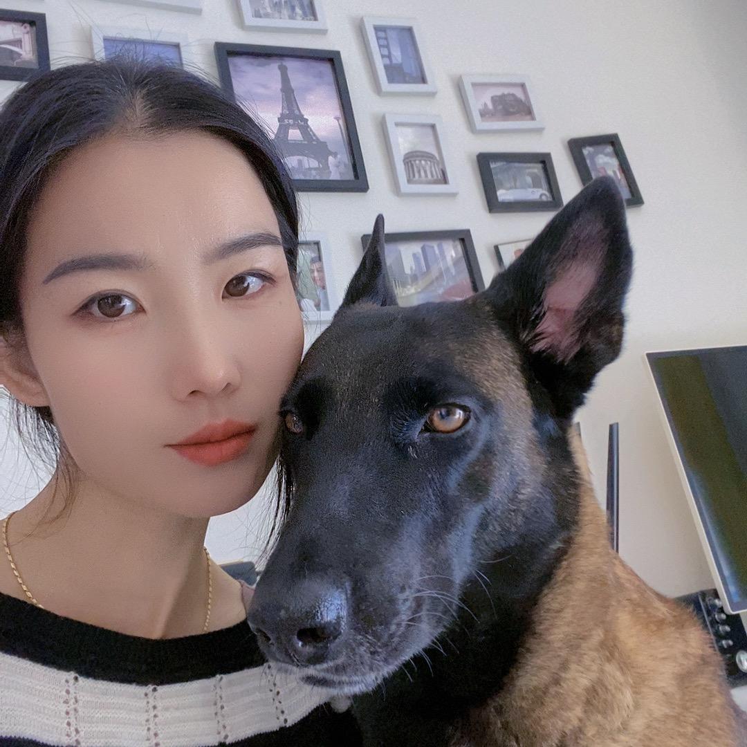 马犬小七