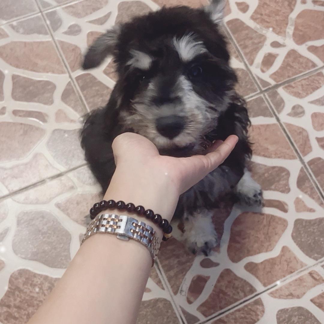 Ada✨