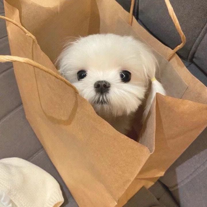函你吃饭