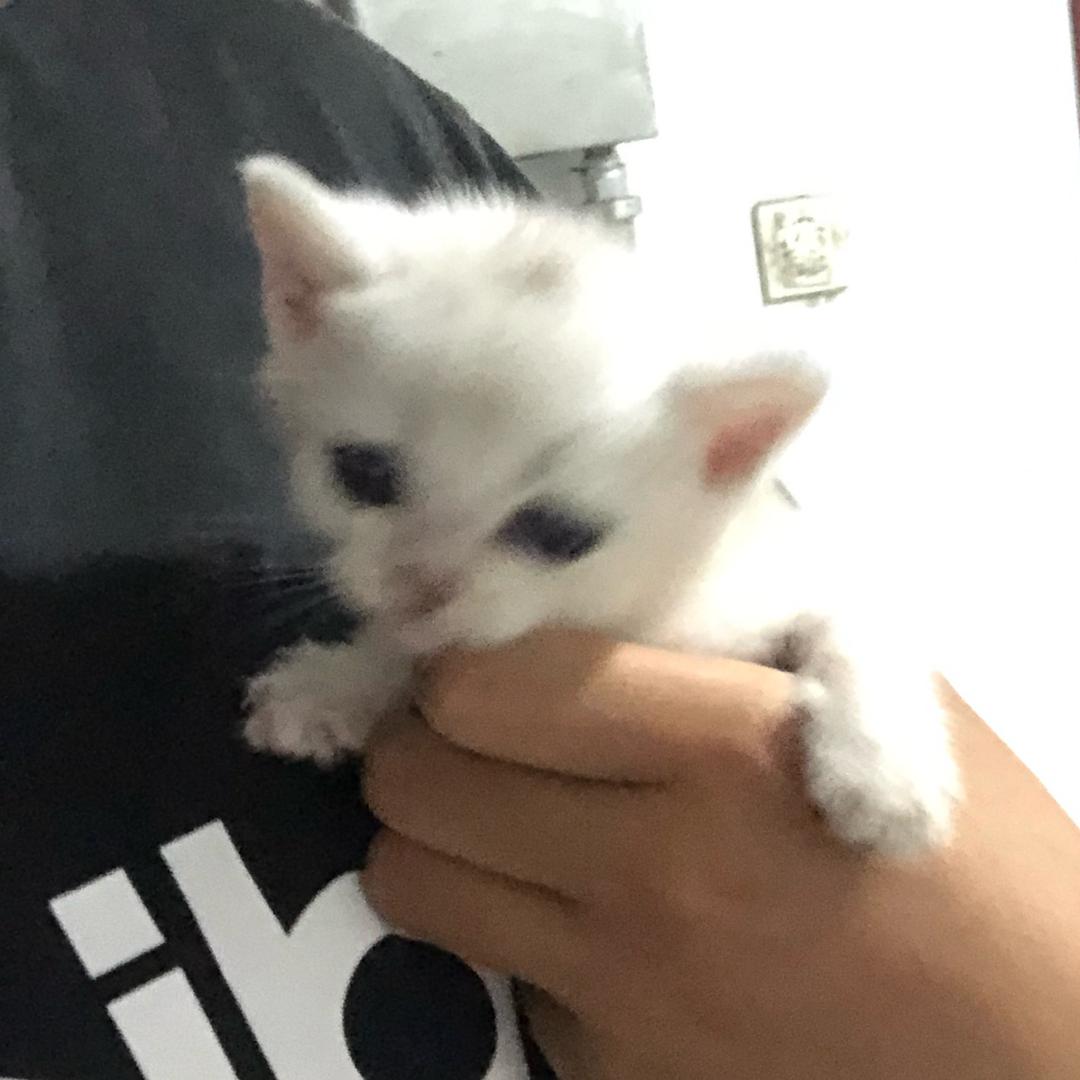 我想回家！！！