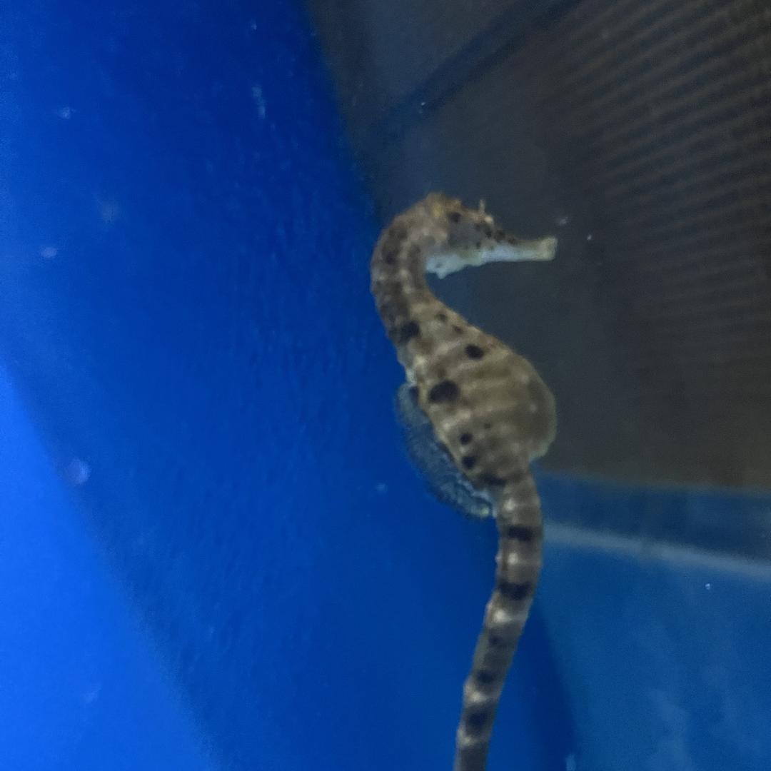 南部县国恩家用电器销售有限公司