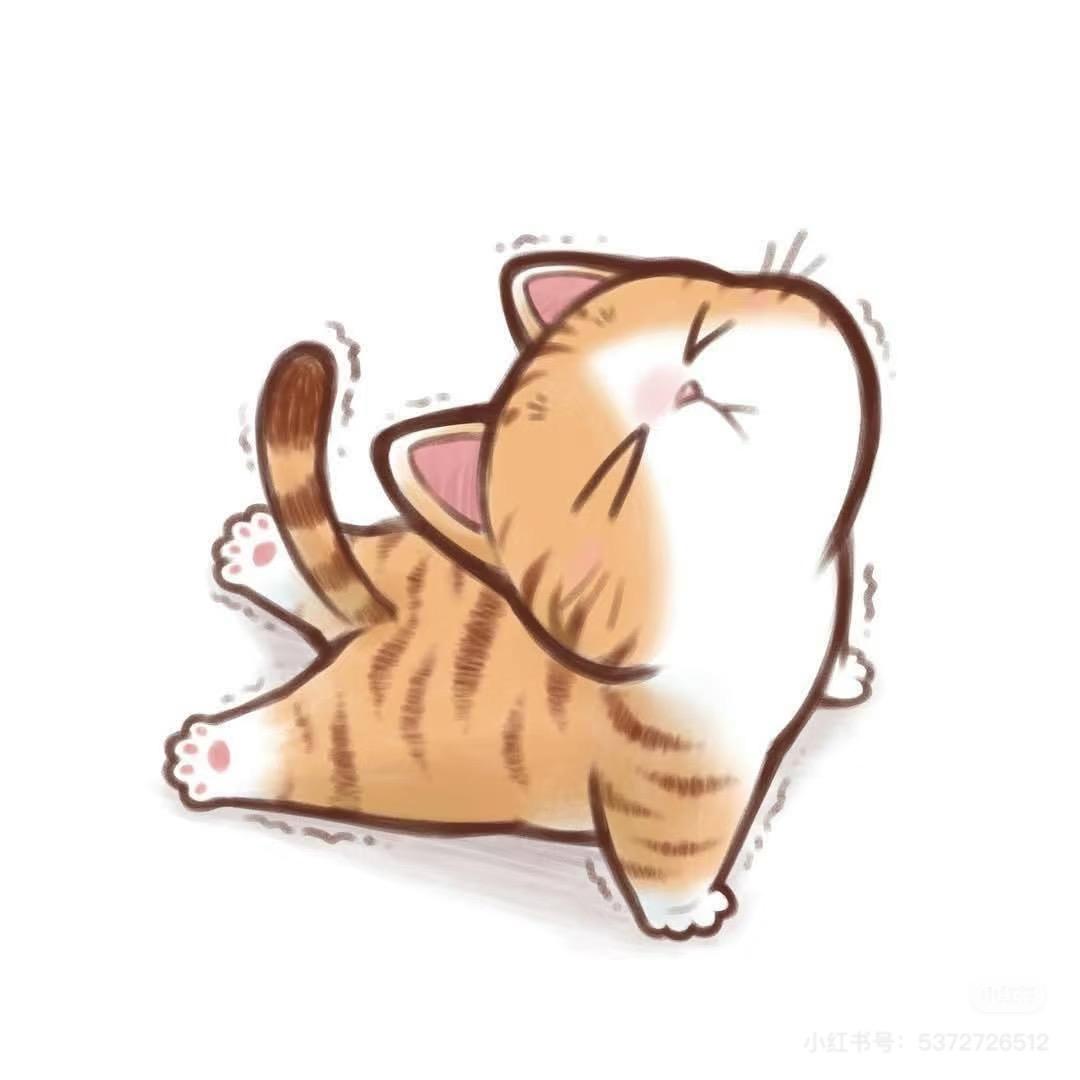 可爱团子喵🐱