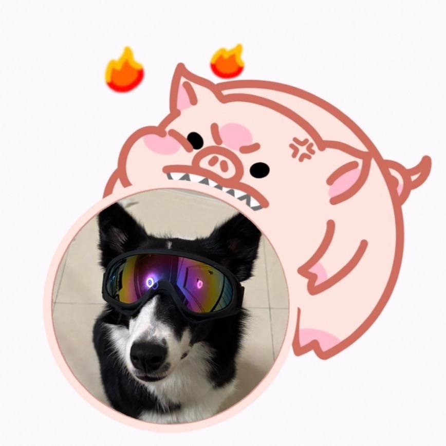 姜姜姜姜～愛吃辣🔥(無法用手機版