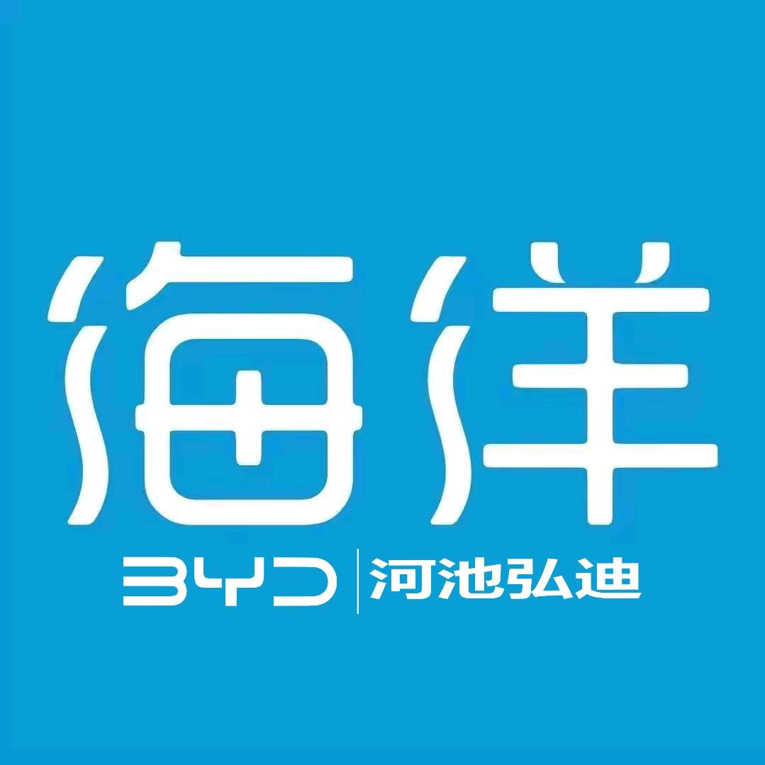 比亚迪海洋（河池弘迪4S店）