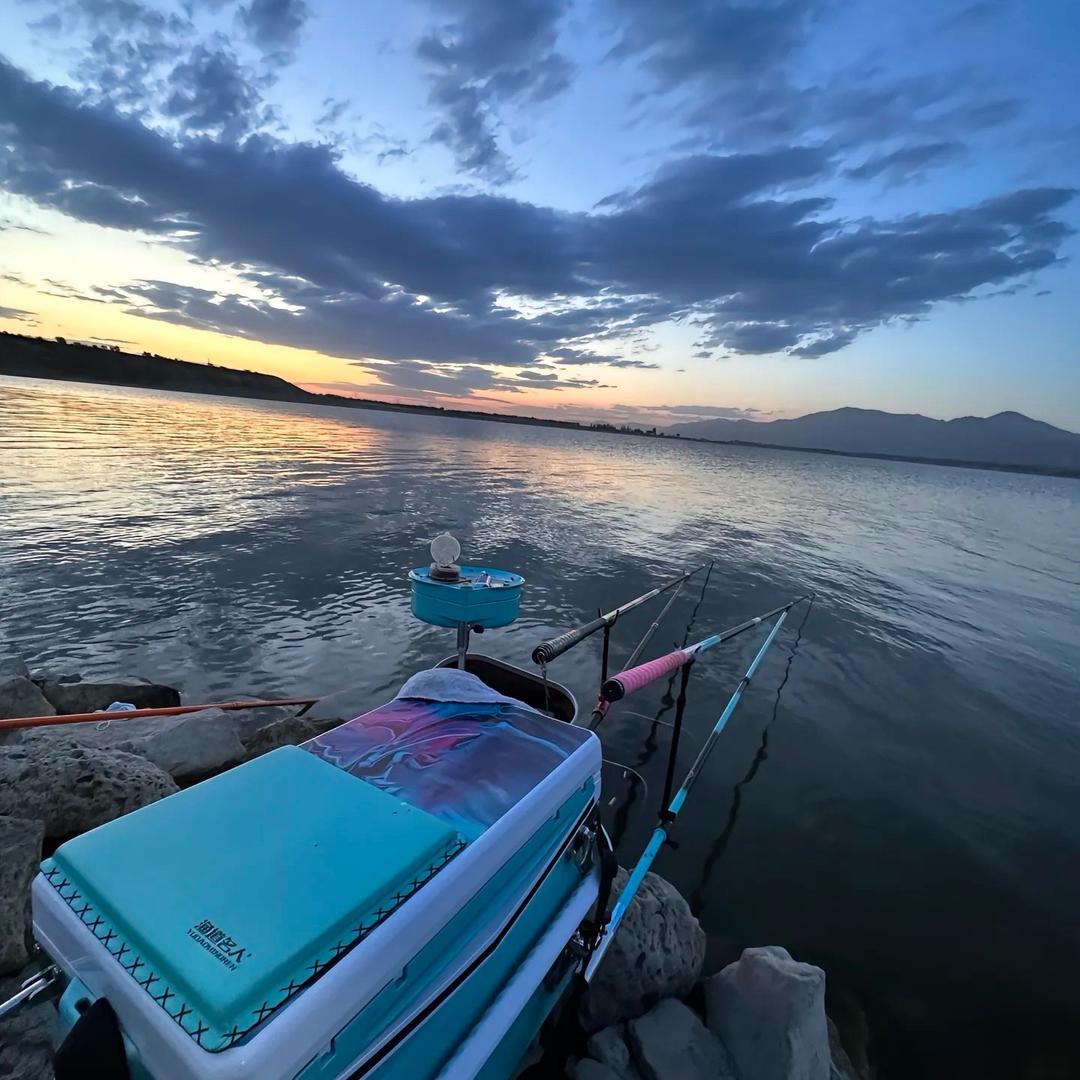 成仔🎣