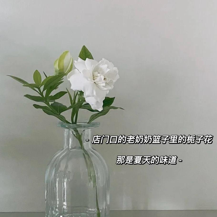 栀子轻奢女鞋