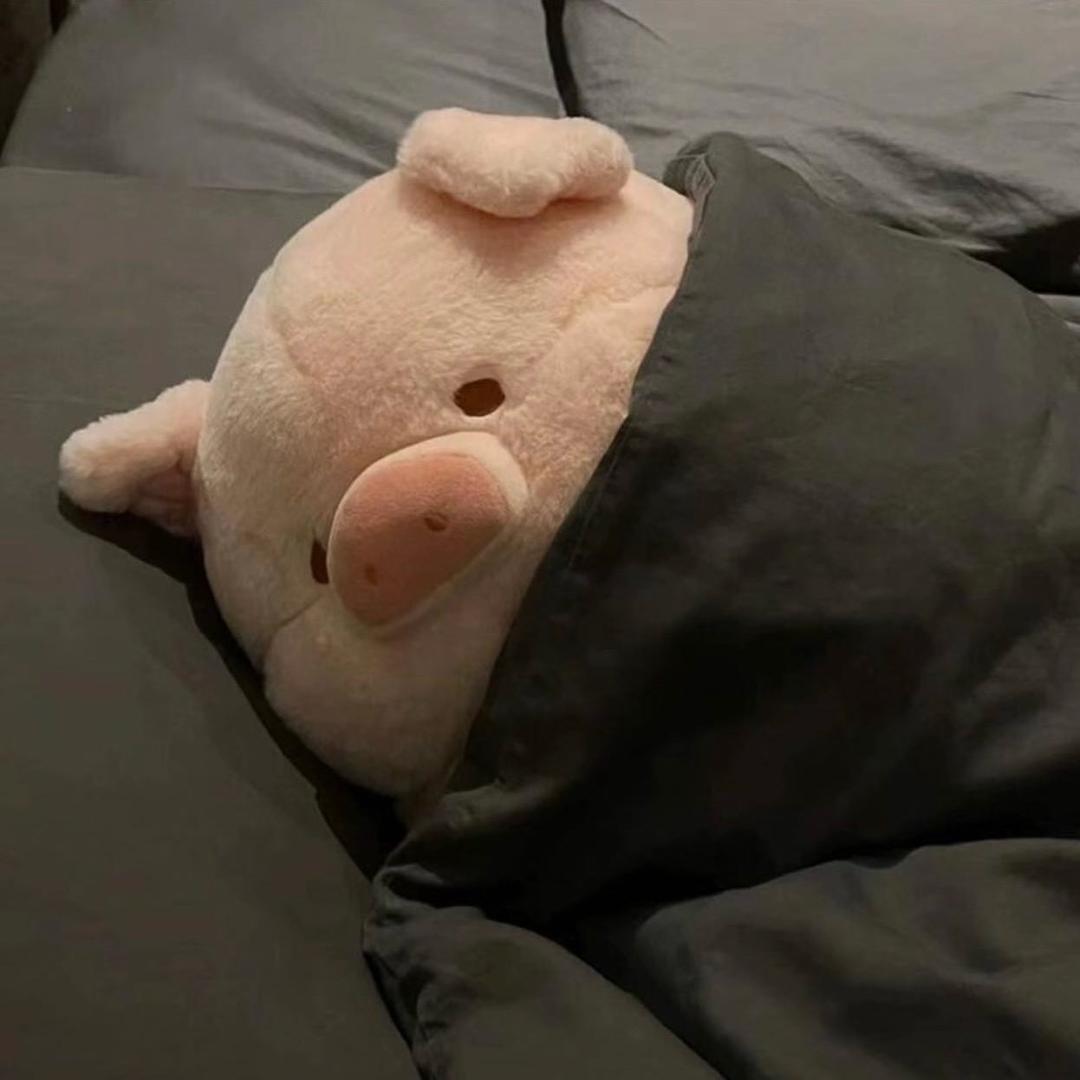 剁椒🐷头