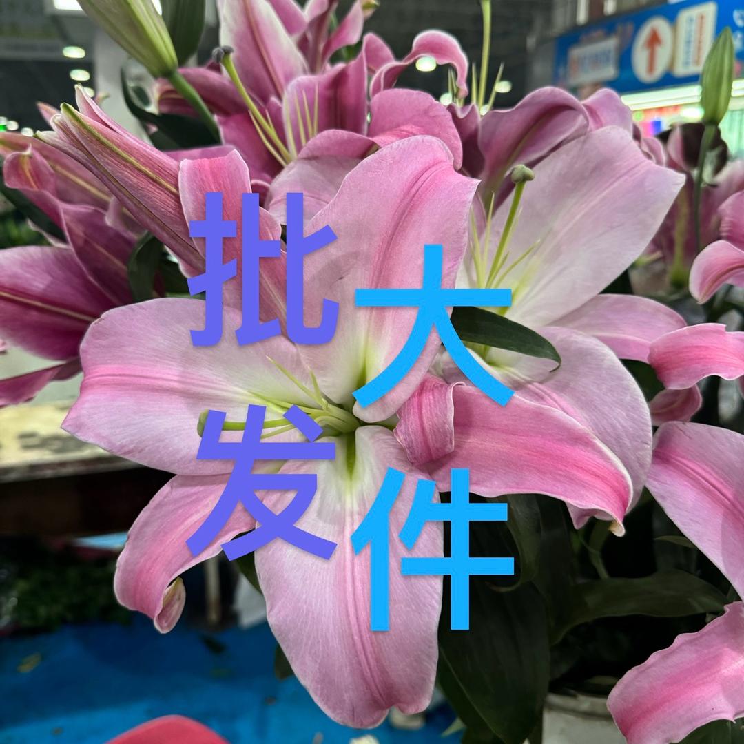 贩卖浪漫鲜花小店