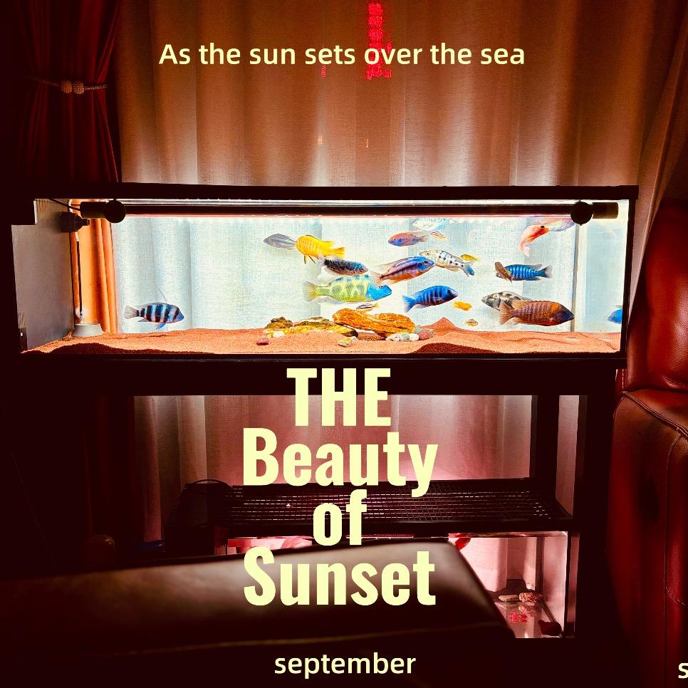 丁叔叔不爱做饭🍳