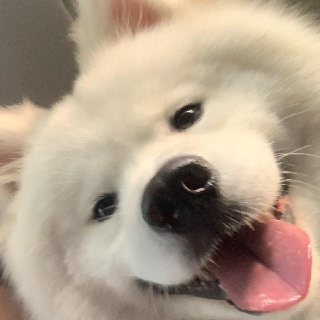 张开心—