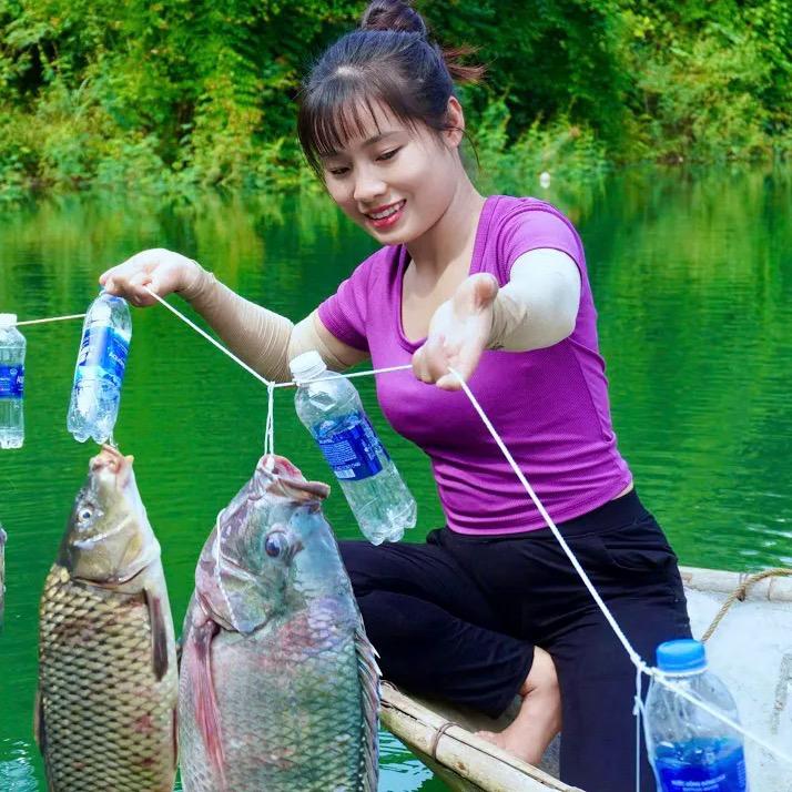 香香