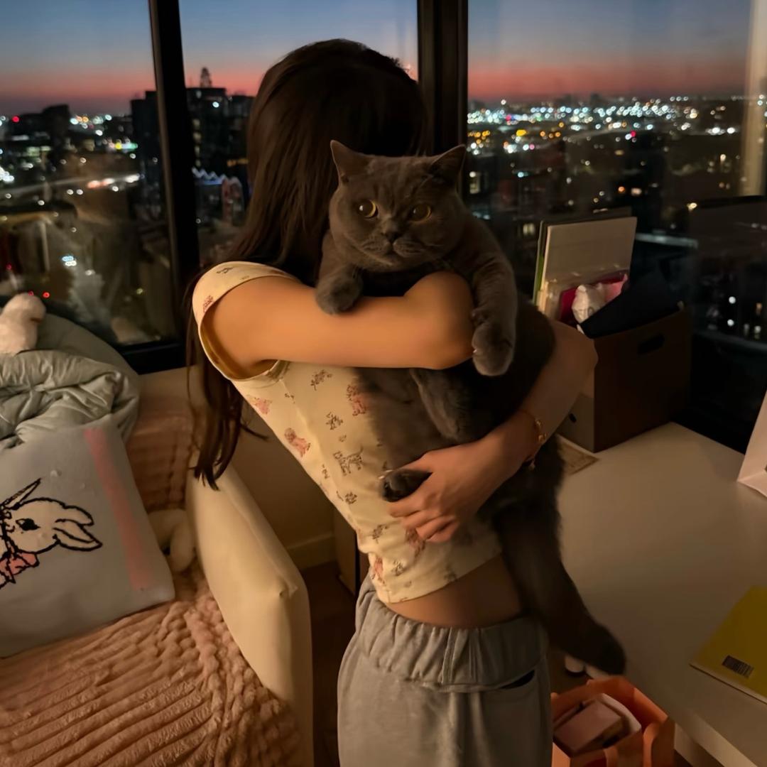 泡泡P