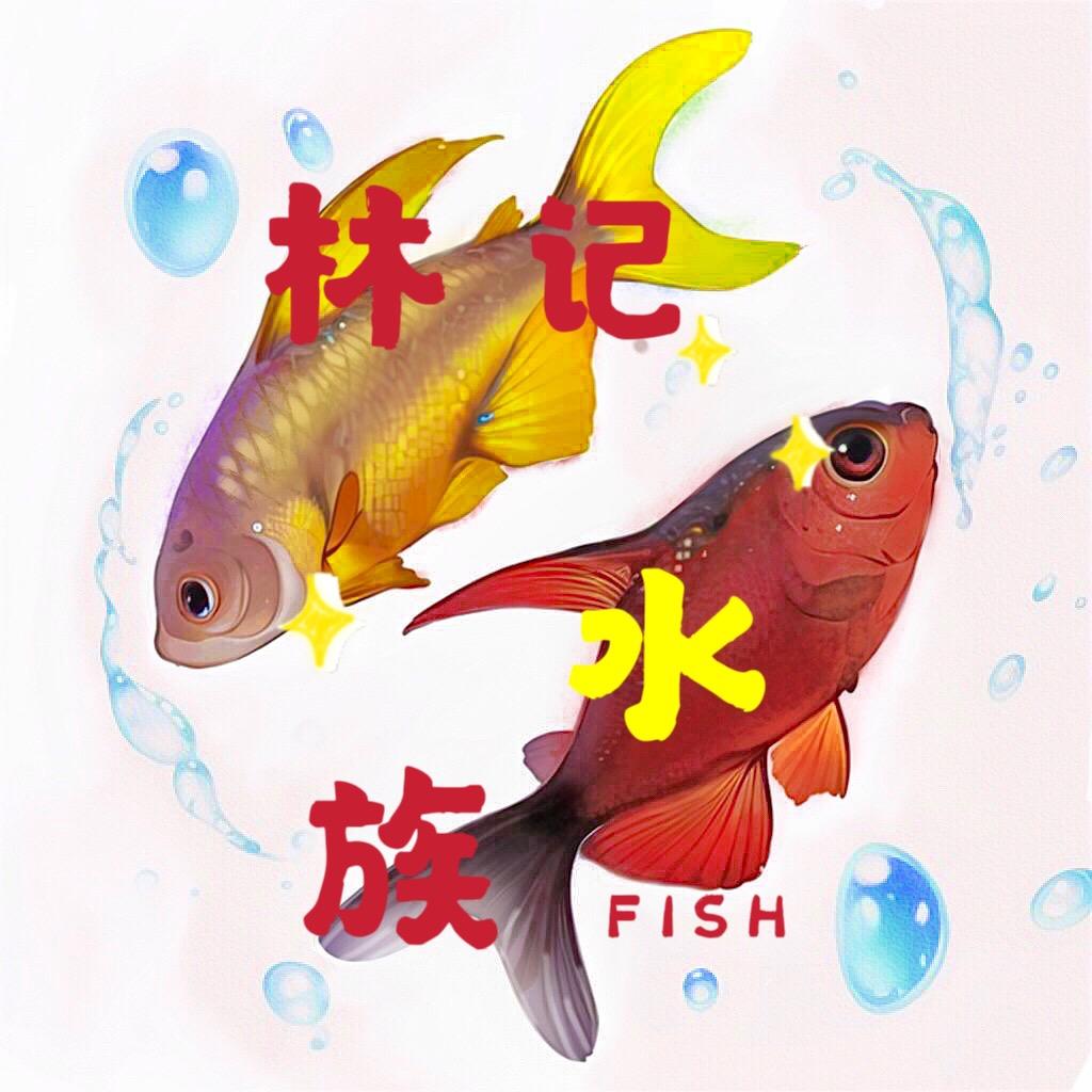 林记水族