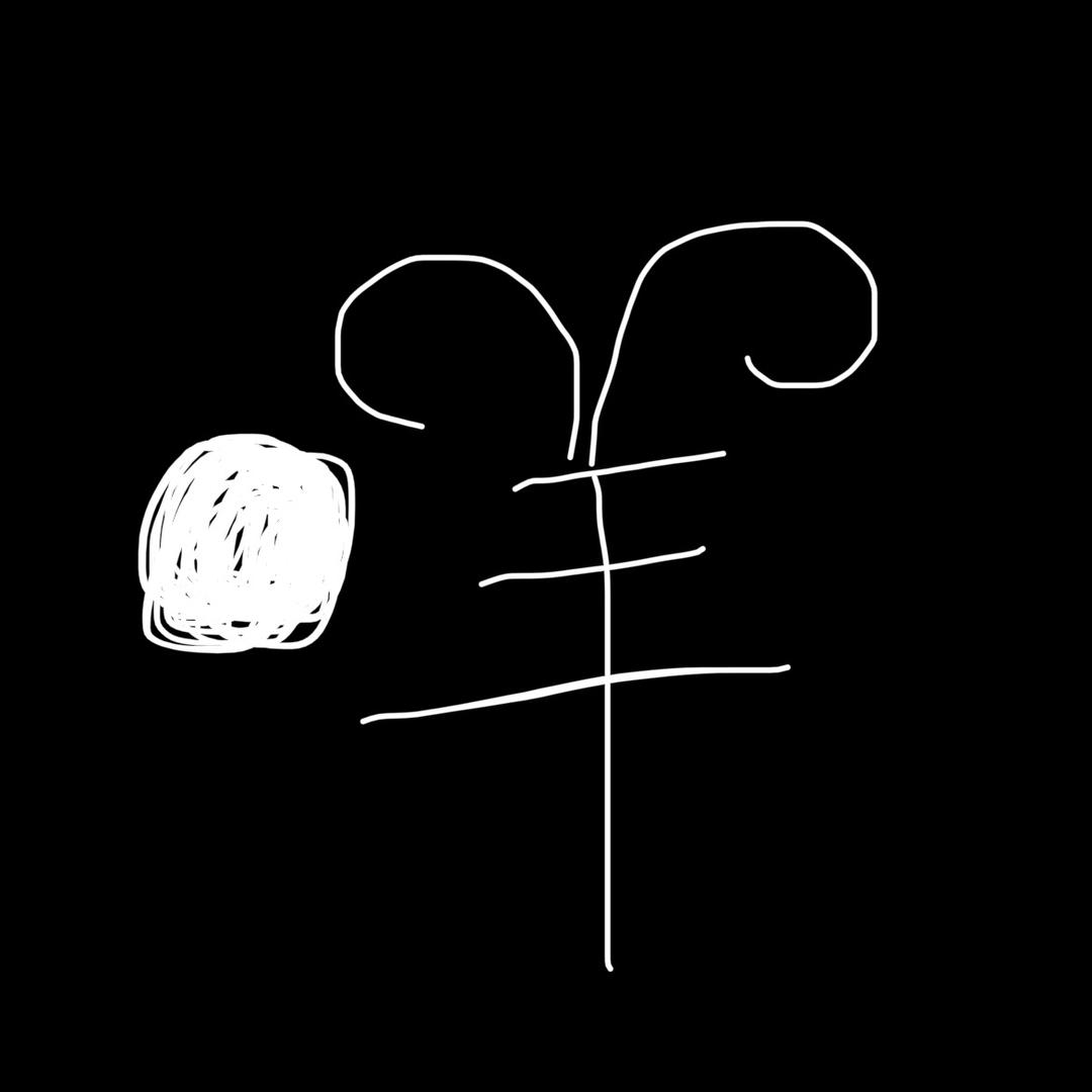 一只羊🐑文案