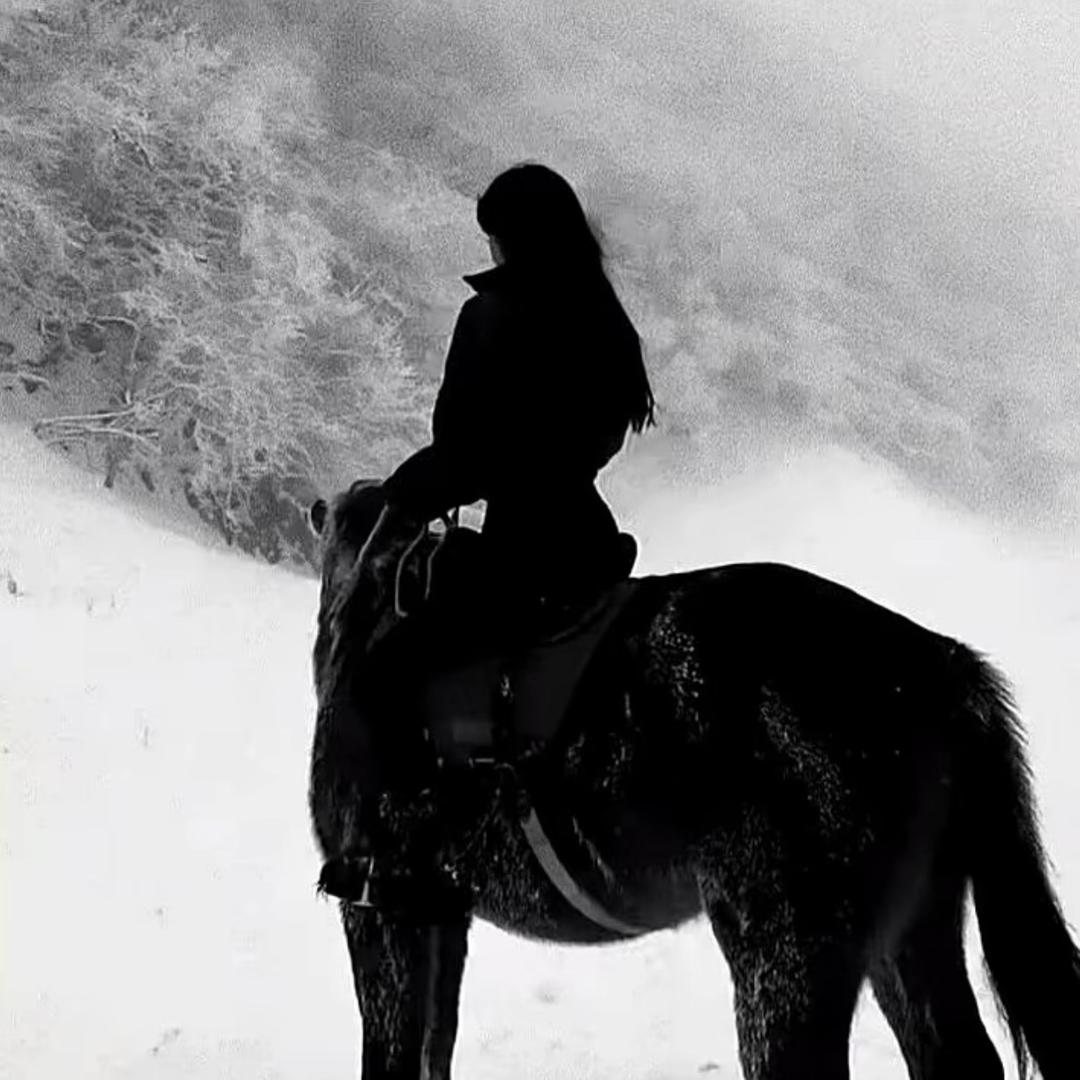 琪琪大王牛逼666