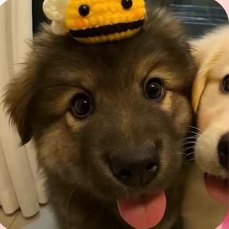 白雾袍の野生茶姬（彳亍版）