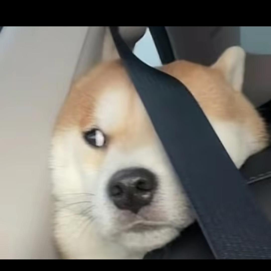 表舅