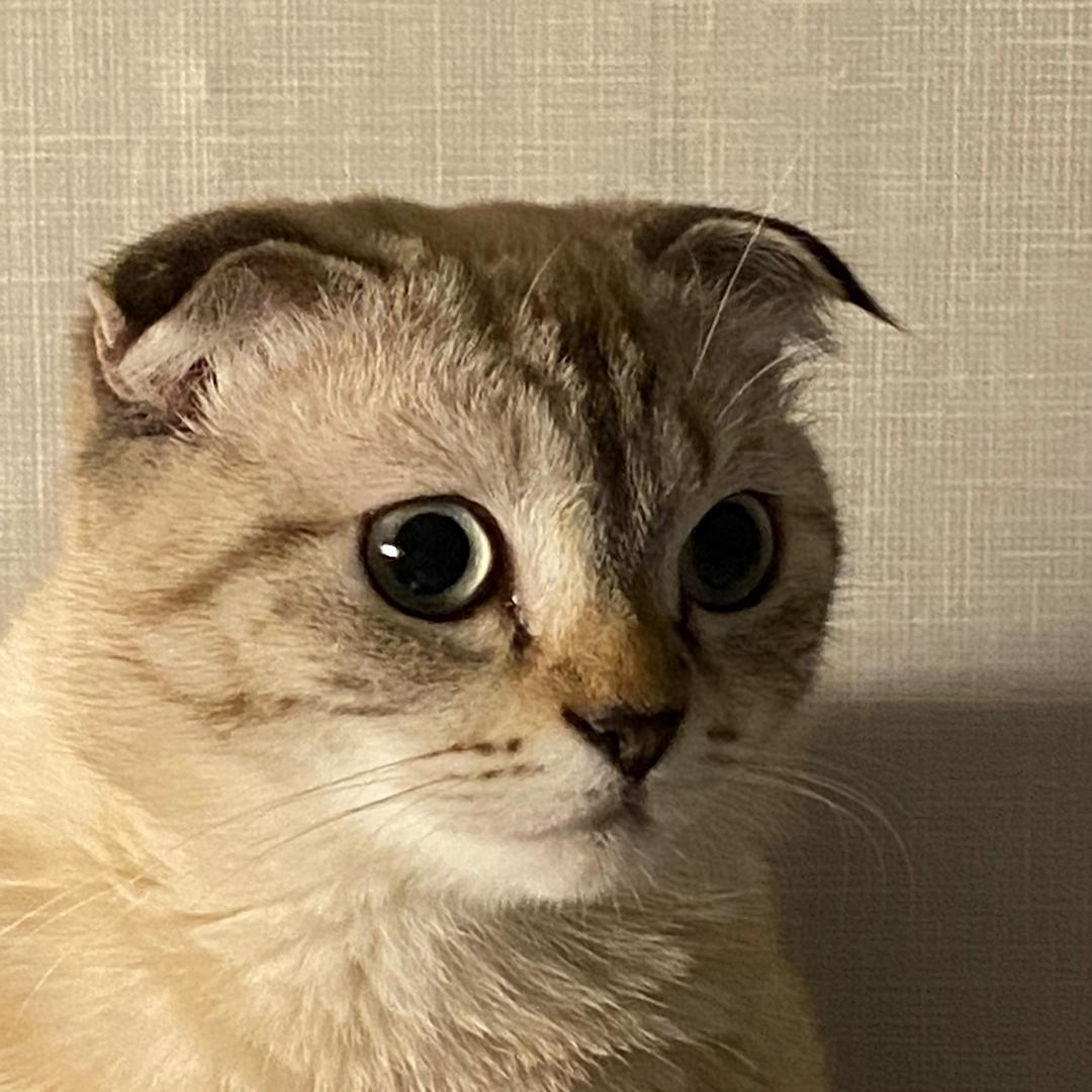 （童）言无忌🫥