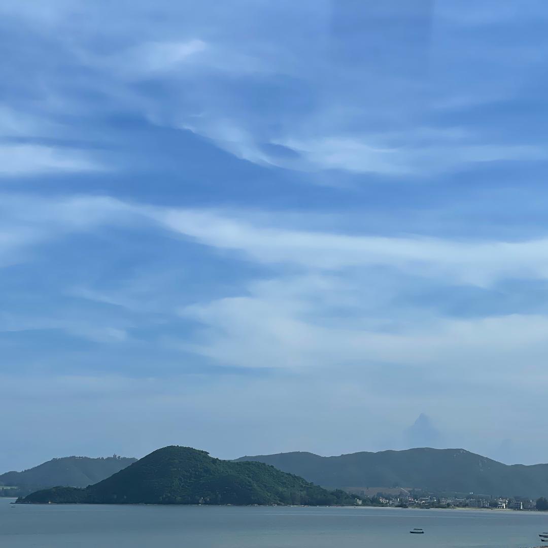 临溟霸王