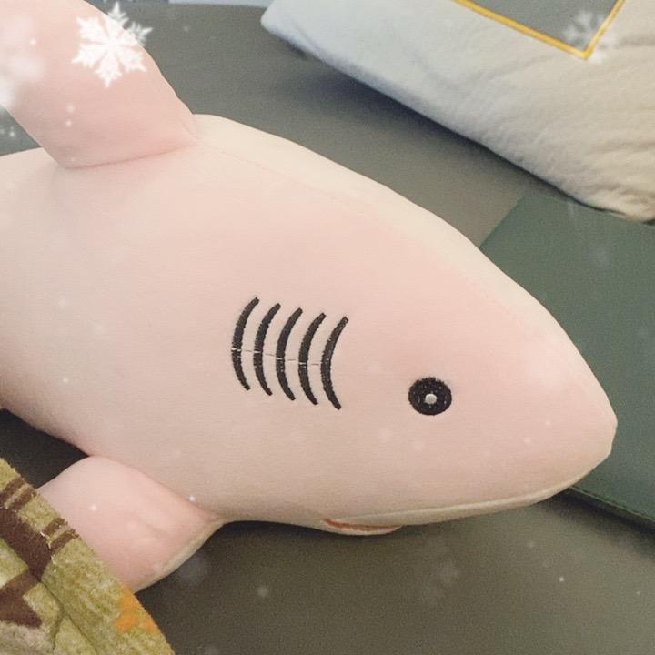 爱德华的女孩