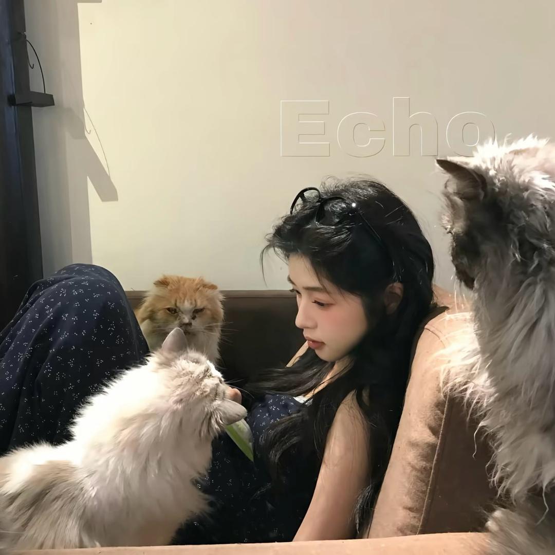 派可爱星🌟