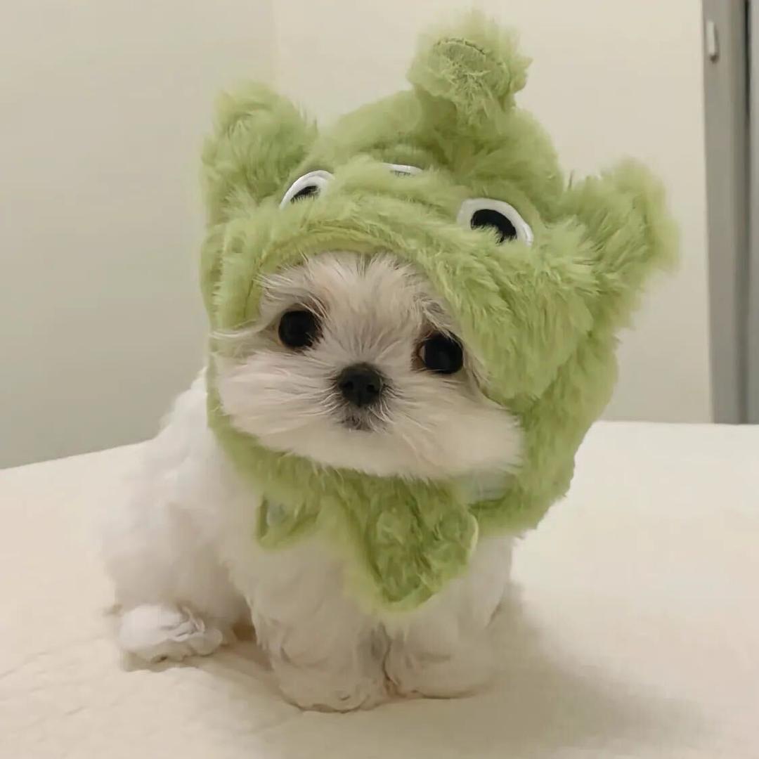 青睐