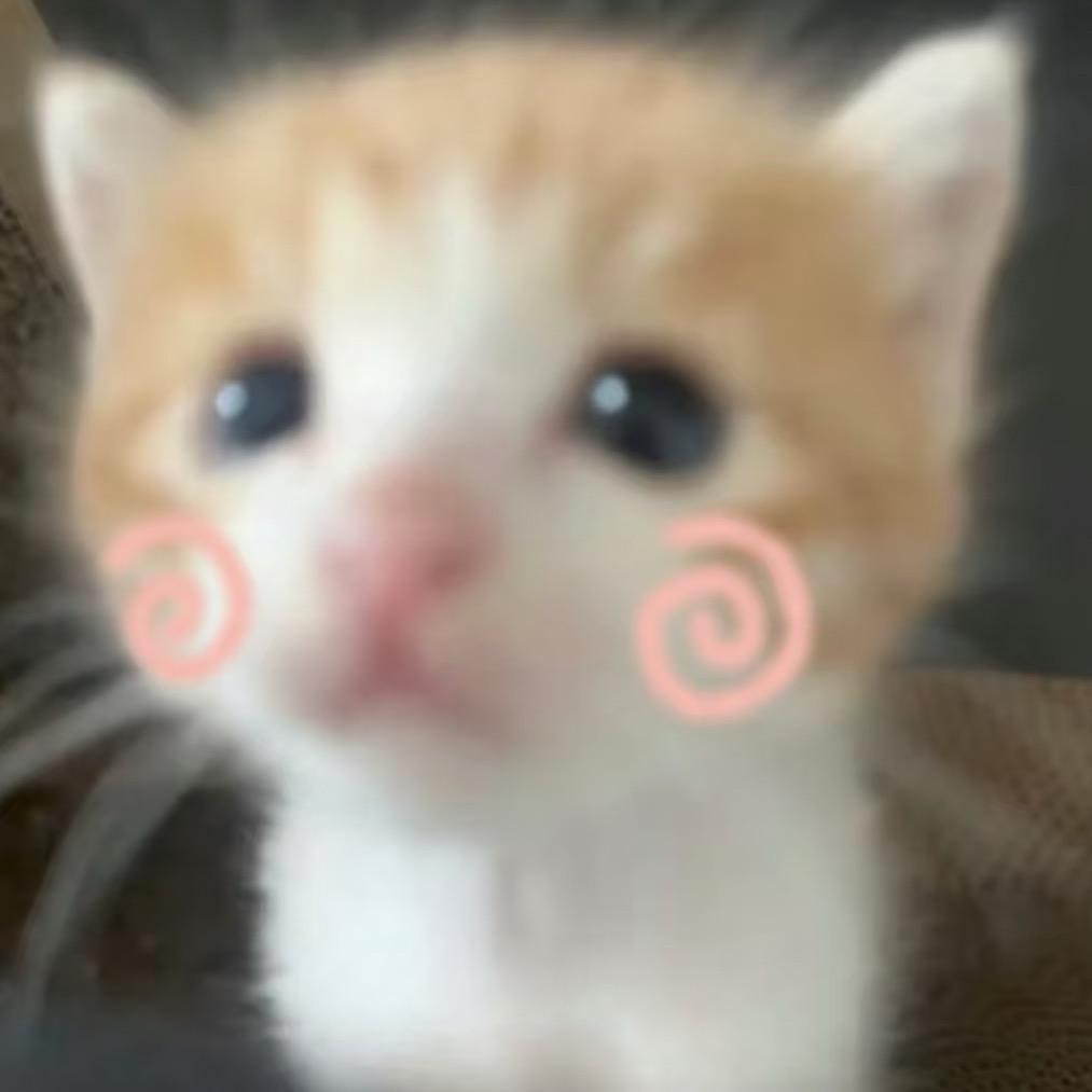 🪵