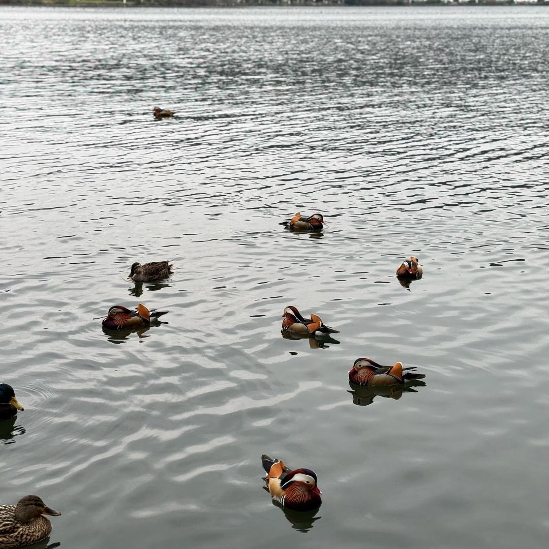 小明说二建助理