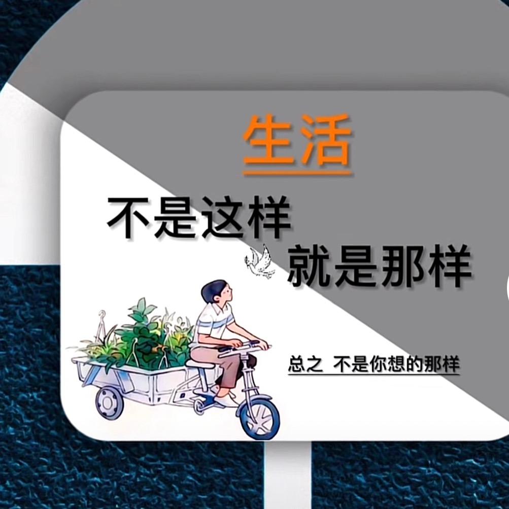 又菜、又爱玩