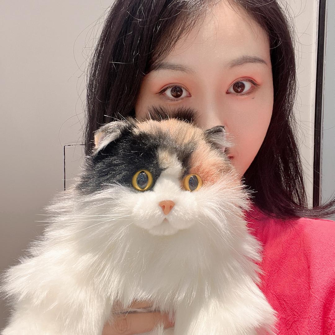梨涡远点