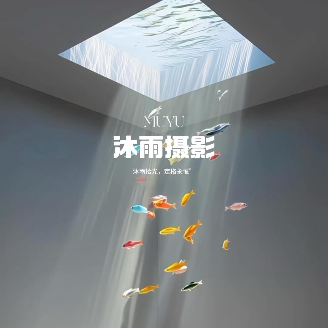 沐雨摄影（收学徒）