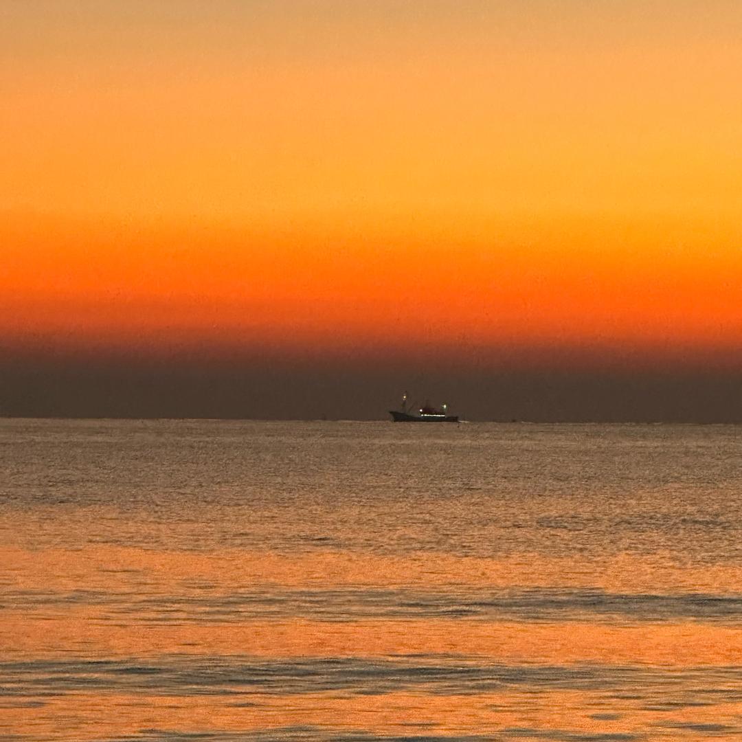 日照的小明白