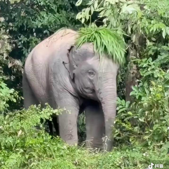 林州瞿头像