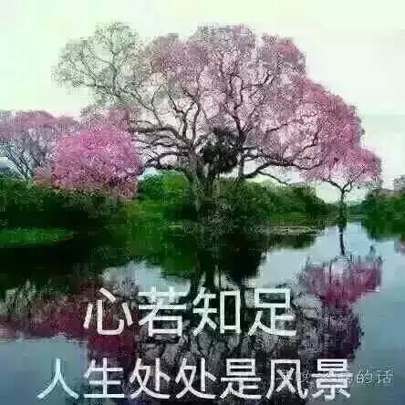 与世无争