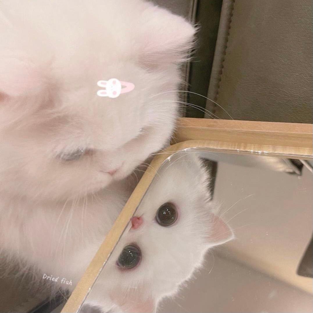 Ꭽℯ⃝落ঞᩚ幕꧔ꦿ᭄