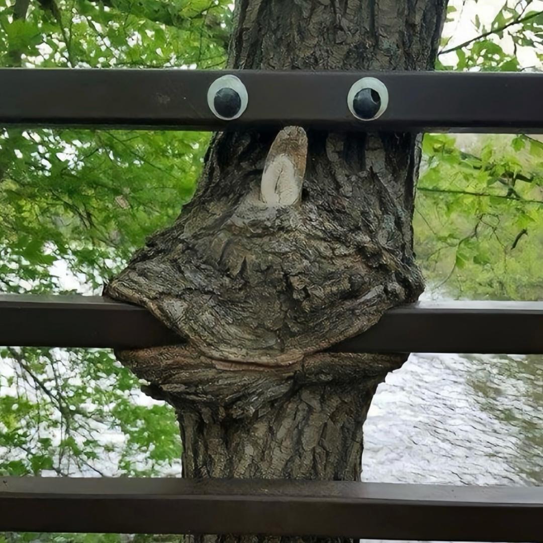 王富贵、
