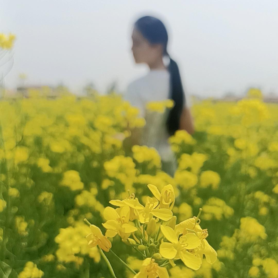 苗苗小窝