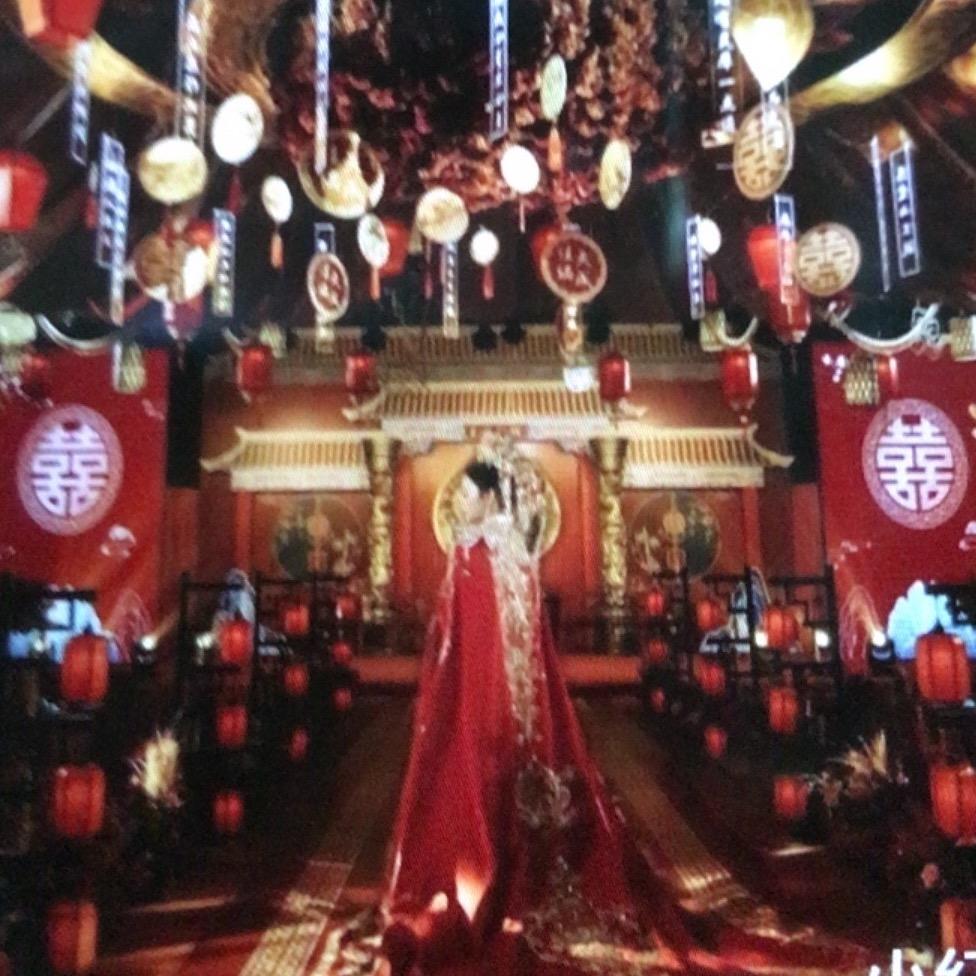活动小助理