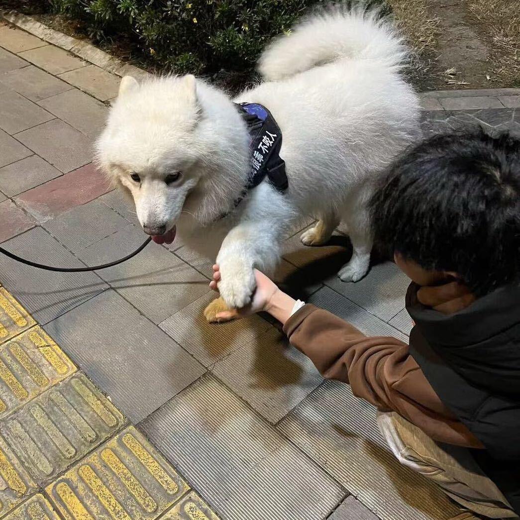 宇宇宇大少